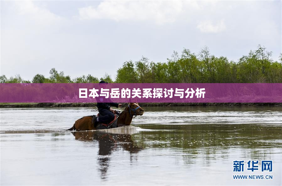 日本与岳的关系探讨与分析