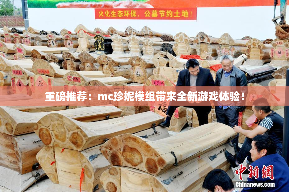 重磅推荐：mc珍妮模组带来全新游戏体验！