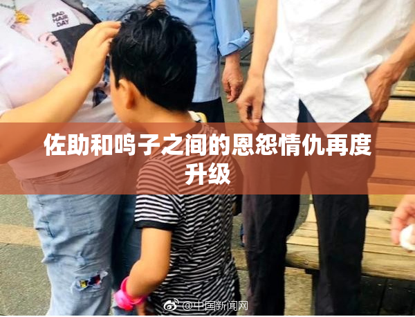 佐助和鸣子之间的恩怨情仇再度升级