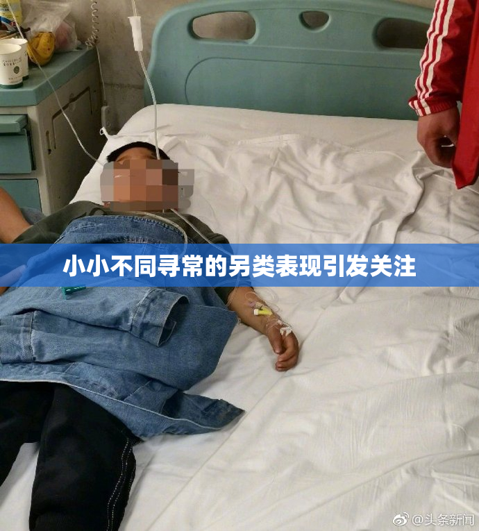 小小不同寻常的另类表现引发关注