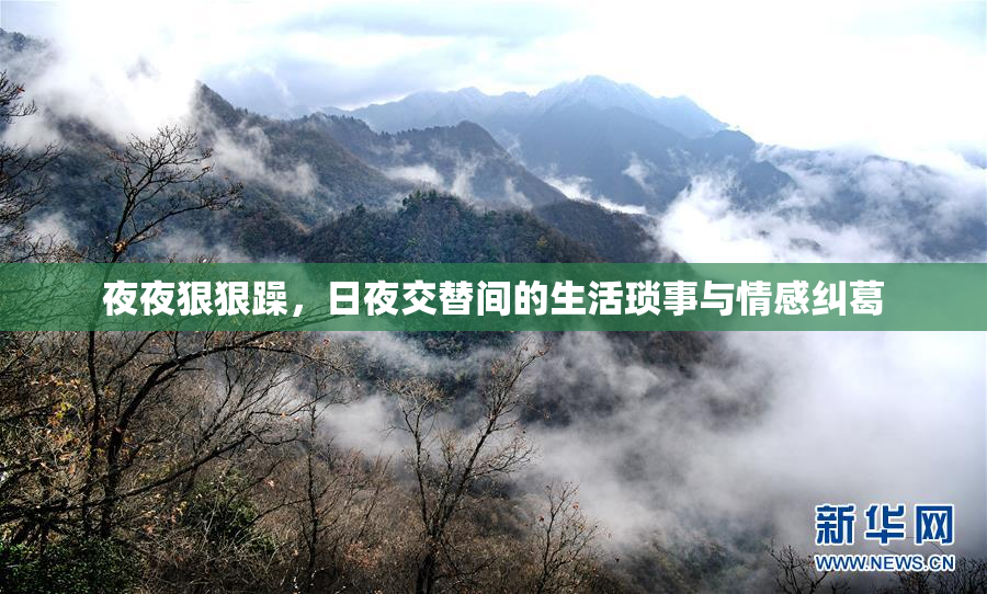 夜夜狠狠躁，日夜交替间的生活琐事与情感纠葛