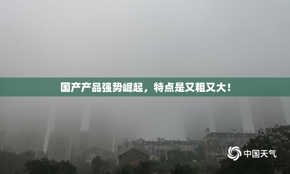 国产产品强势崛起，特点是又粗又大！