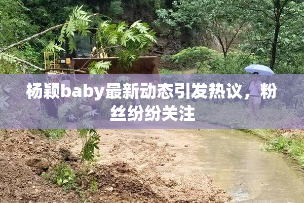 杨颖baby最新动态引发热议，粉丝纷纷关注