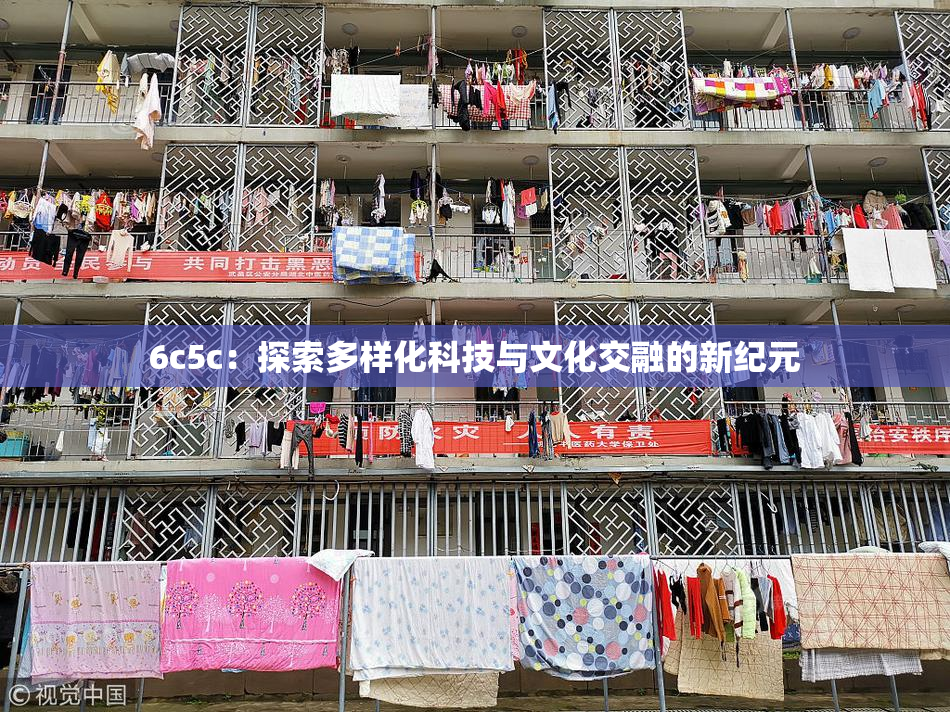 6c5c：探索多样化科技与文化交融的新纪元