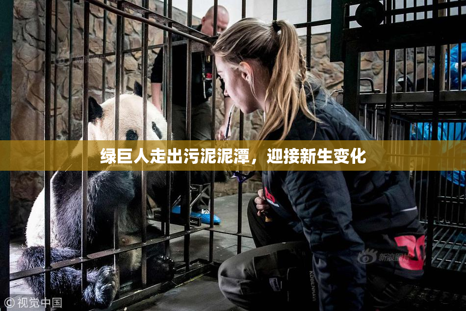 绿巨人走出污泥泥潭，迎接新生变化