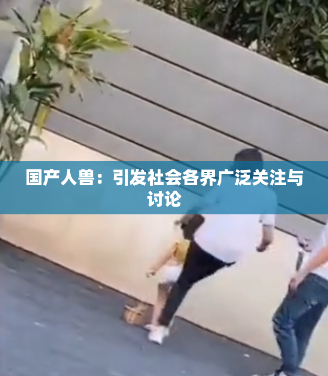 国产人兽：引发社会各界广泛关注与讨论