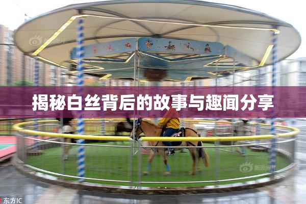 揭秘白丝背后的故事与趣闻分享