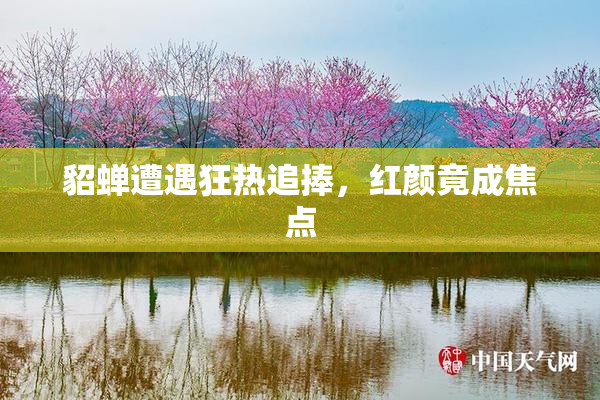 貂蝉遭遇狂热追捧，红颜竟成焦点