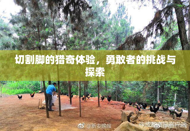 切割脚的猎奇体验，勇敢者的挑战与探索