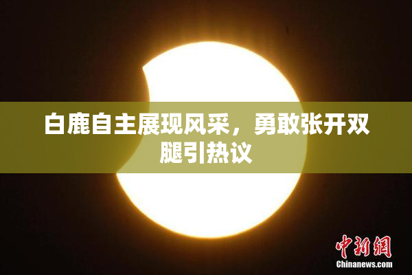 白鹿自主展现风采，勇敢张开双腿引热议