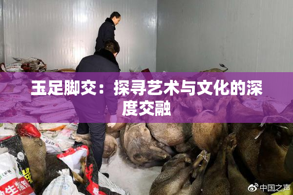玉足脚交：探寻艺术与文化的深度交融