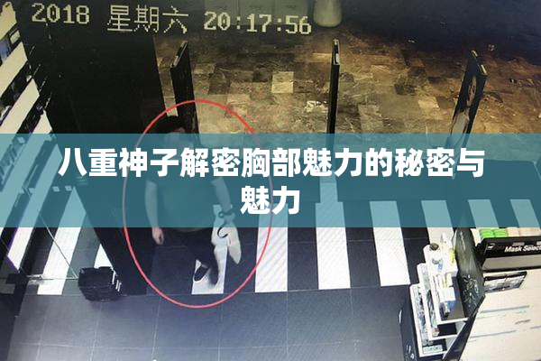 八重神子解密胸部魅力的秘密与魅力