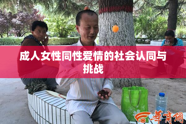 成人女性同性爱情的社会认同与挑战
