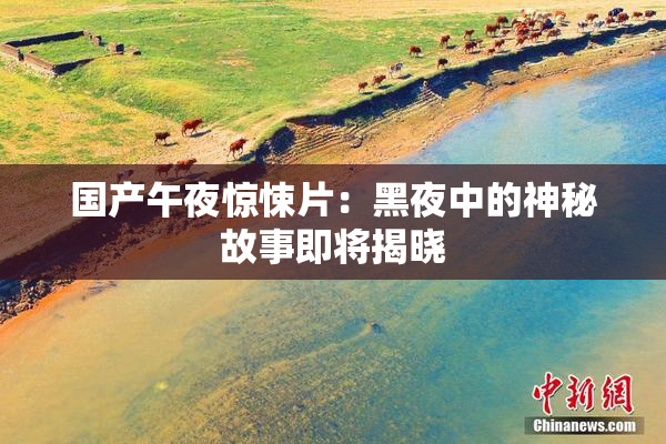 国产午夜惊悚片：黑夜中的神秘故事即将揭晓