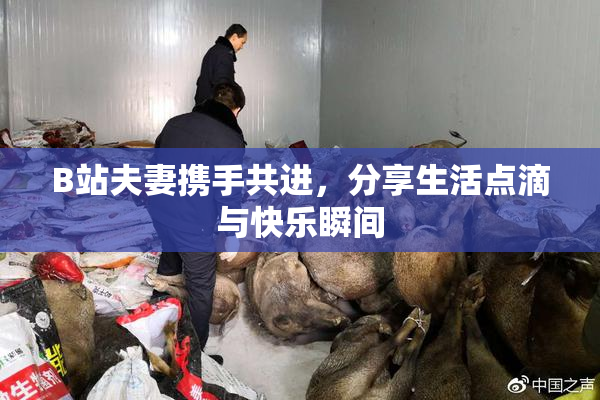 B站夫妻携手共进，分享生活点滴与快乐瞬间