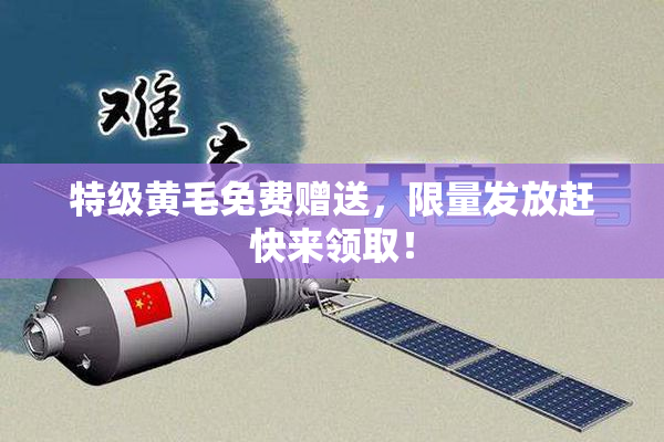 特级黄毛免费赠送，限量发放赶快来领取！