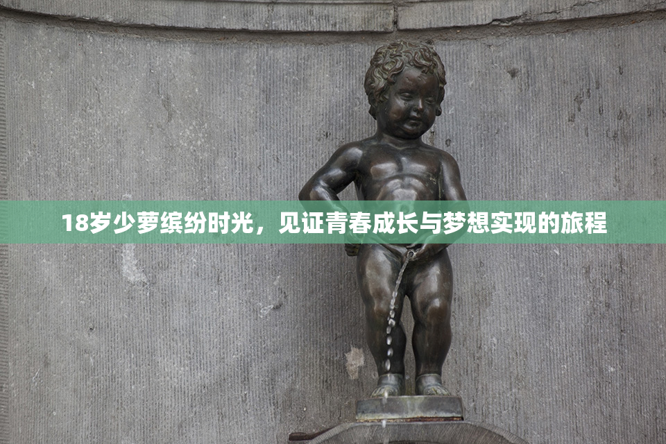 18岁少萝缤纷时光，见证青春成长与梦想实现的旅程