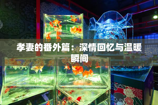 孝妻的番外篇：深情回忆与温暖瞬间