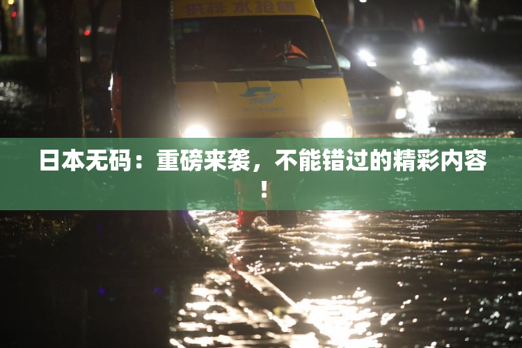 日本无码：重磅来袭，不能错过的精彩内容！