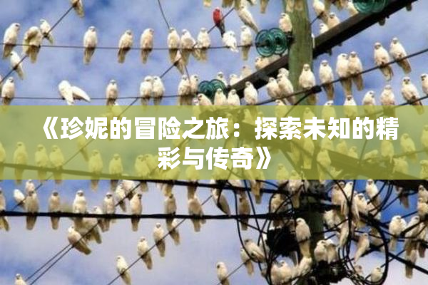 《珍妮的冒险之旅：探索未知的精彩与传奇》