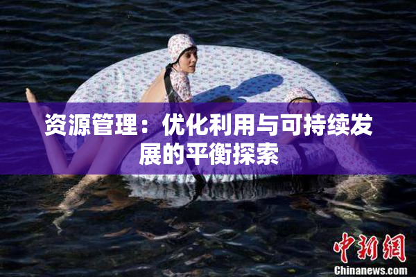 资源管理：优化利用与可持续发展的平衡探索