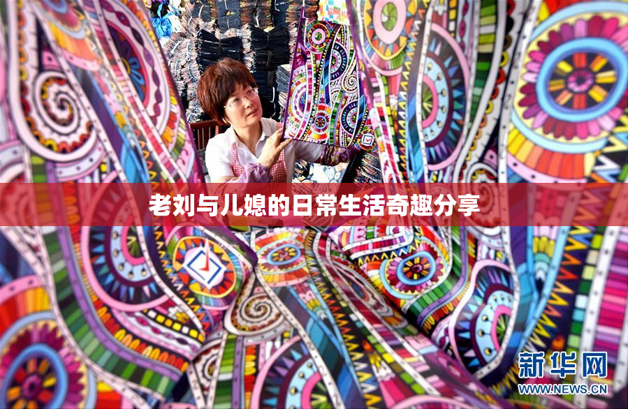 老刘与儿媳的日常生活奇趣分享