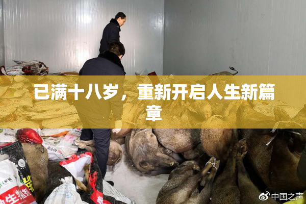已满十八岁，重新开启人生新篇章