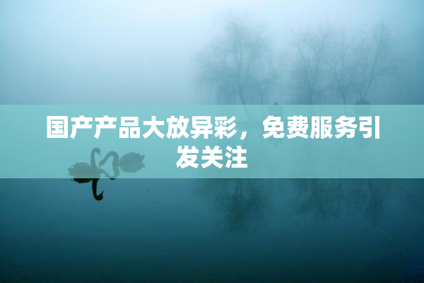 国产产品大放异彩，免费服务引发关注