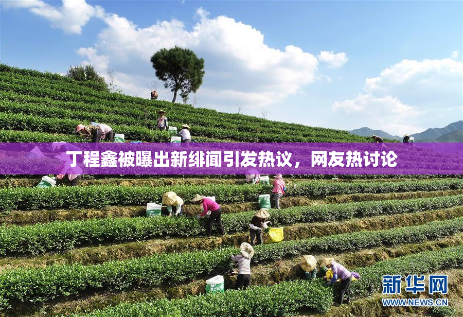 丁程鑫被曝出新绯闻引发热议，网友热讨论