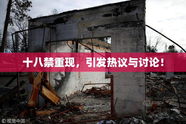 十八禁重现，引发热议与讨论！