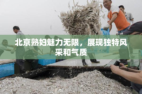 北京熟妇魅力无限，展现独特风采和气质
