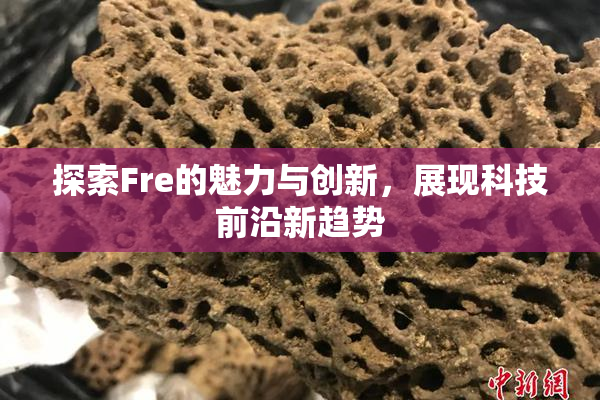 探索Fre的魅力与创新，展现科技前沿新趋势