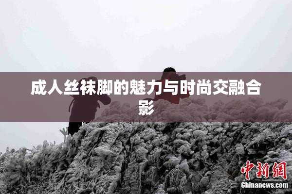 成人丝袜脚的魅力与时尚交融合影