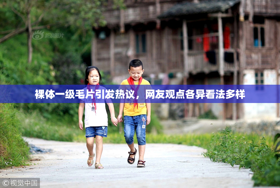 裸体一级毛片引发热议，网友观点各异看法多样