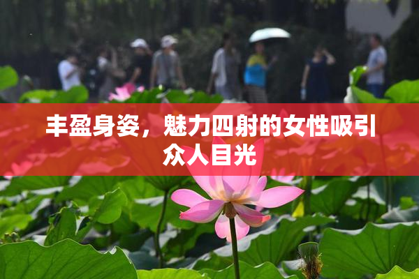 丰盈身姿，魅力四射的女性吸引众人目光
