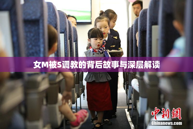 女M被S调教的背后故事与深层解读