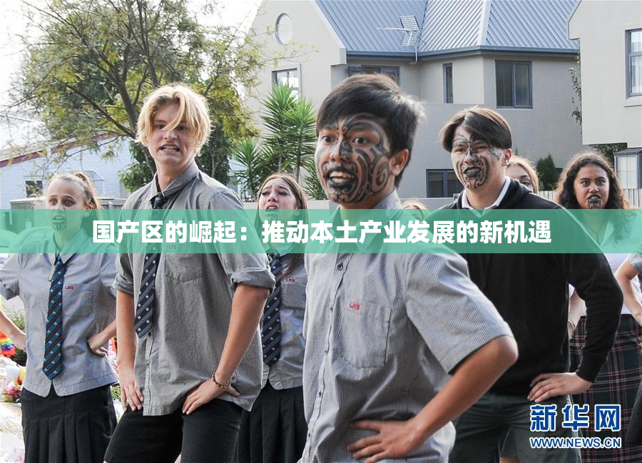 国产区的崛起：推动本土产业发展的新机遇