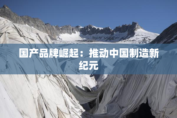 国产品牌崛起：推动中国制造新纪元