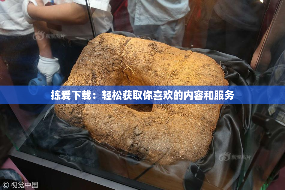 拣爱下载：轻松获取你喜欢的内容和服务