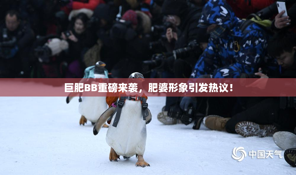 巨肥BB重磅来袭，肥婆形象引发热议！