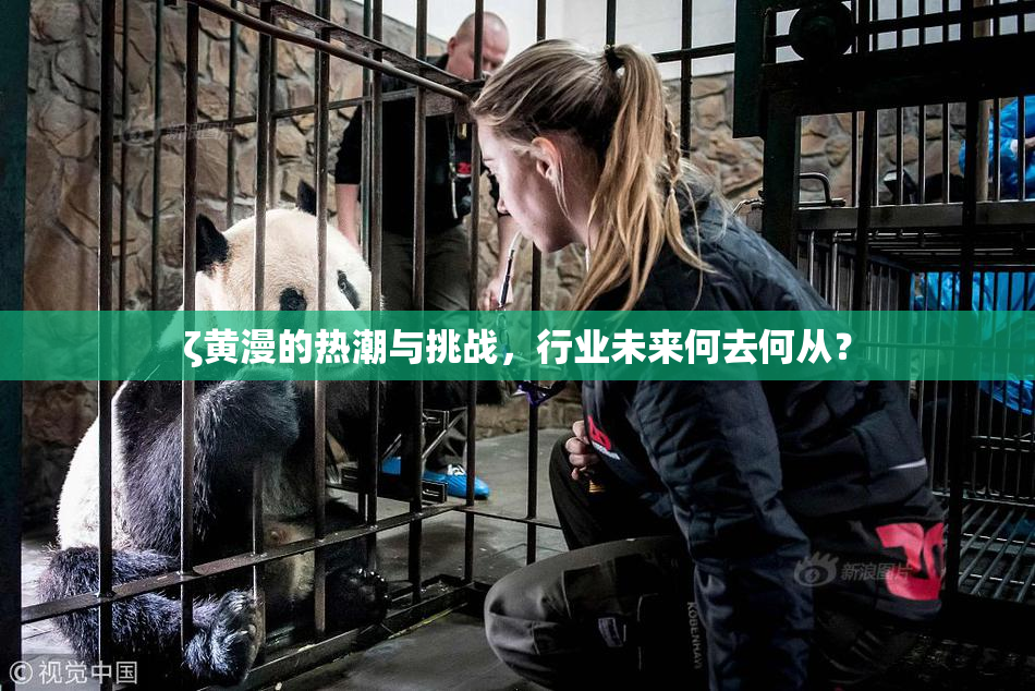 ζ黄漫的热潮与挑战，行业未来何去何从？