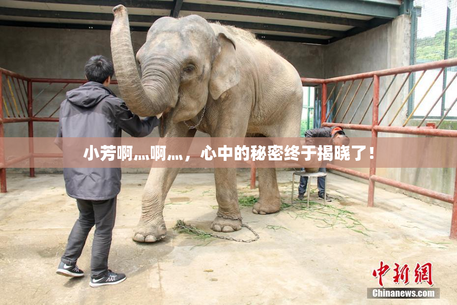 小芳啊灬啊灬，心中的秘密终于揭晓了！