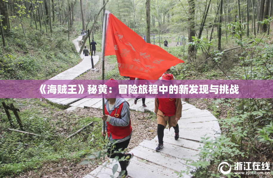 《海贼王》秘黄：冒险旅程中的新发现与挑战