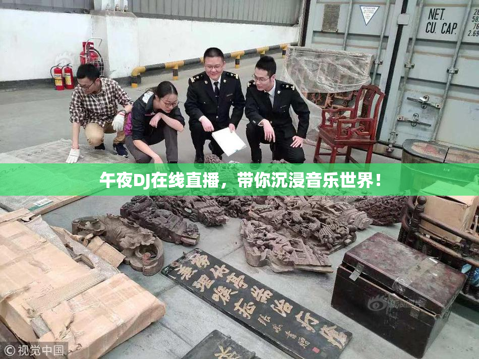 午夜DJ在线直播，带你沉浸音乐世界！