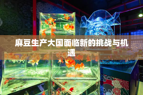 麻豆生产大国面临新的挑战与机遇