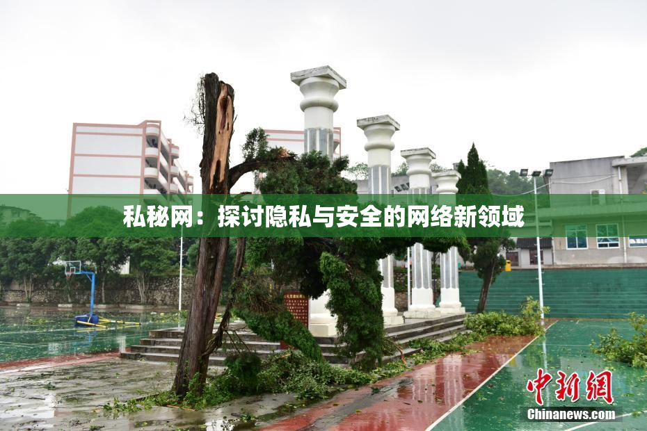 私秘网：探讨隐私与安全的网络新领域