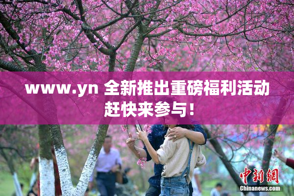 www.yn 全新推出重磅福利活动 赶快来参与！