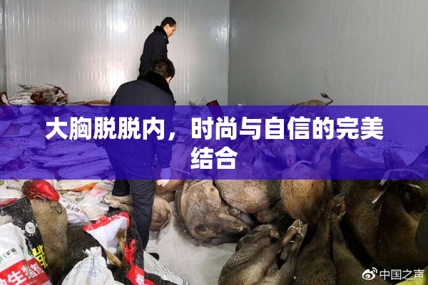大胸脱脱内，时尚与自信的完美结合