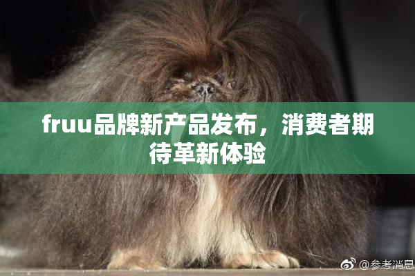 fruu品牌新产品发布，消费者期待革新体验