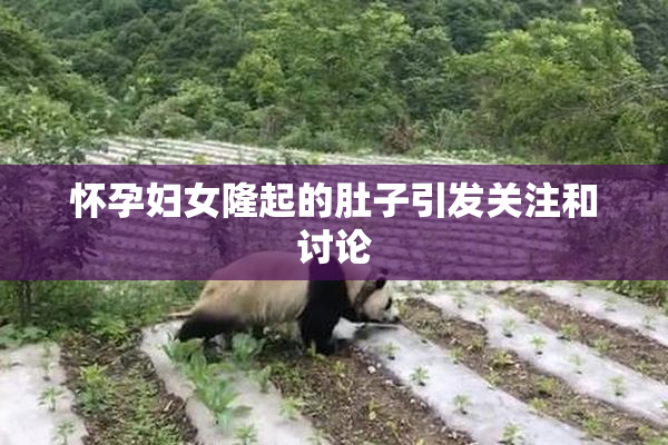 怀孕妇女隆起的肚子引发关注和讨论